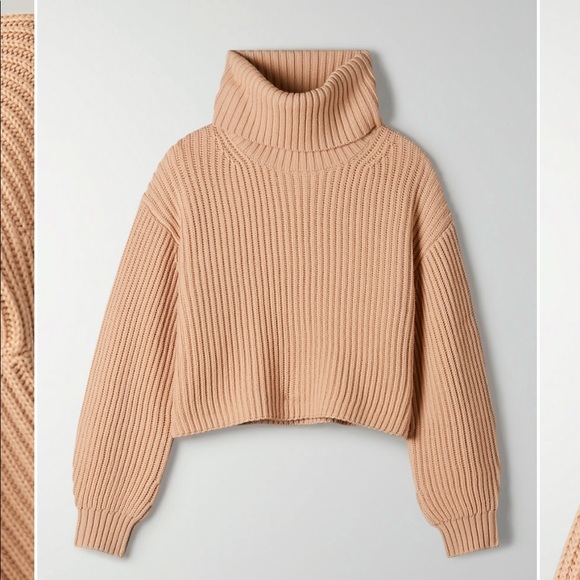 Aritzia Sweaters - Aritzia Babaton Guell Turtleneck Sweater
